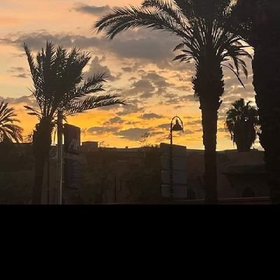 abdal45527's profile picture. 