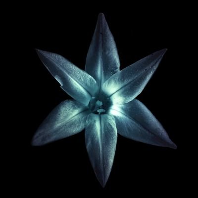 ABkhan42997065's profile picture. pharmacist to be IA.Akson college of pharmacy,peace/humanity