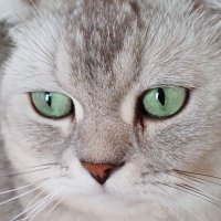 bey Erdal (@beyerdal1) 's Twitter Profile