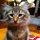 RobG - @RobGeeL - Twitter