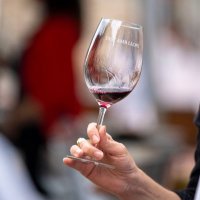 tastambllops (@tastambllops) 's Twitter Profile