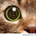 Maskininvestor (@maskininvestor) Twitter profile photo