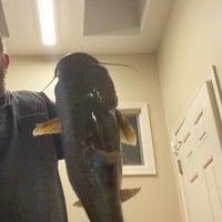 jflathead3 (@jflathead3) 's Twitter Profile Photo