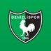 Denizlispor (@Denizlispor) Twitter profile photo