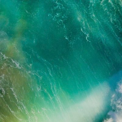 AlonMaor2's profile picture. 