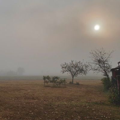 ‘Tenêtiyeke bextewar, ji bextreşiyeke hevpar çêtir e.’