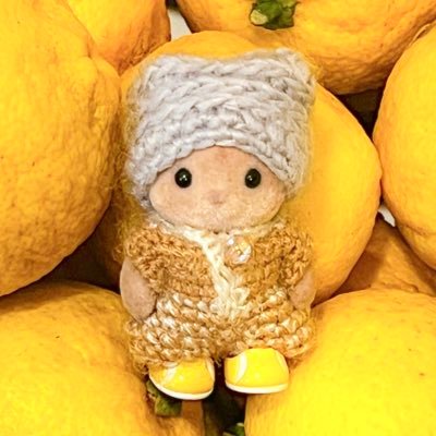 milcanchripan's profile picture. リスのレモンちゃんです🍋ミニチュア、シルバニアファミリーやおやつ、旅など好きなものについて載せたいです。無言フォローやいいね、失礼します🙇♡