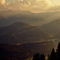 FAQ Bregenzerwald (@what_the_faq_) 's Twitter Profile