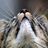 mineo's profile image