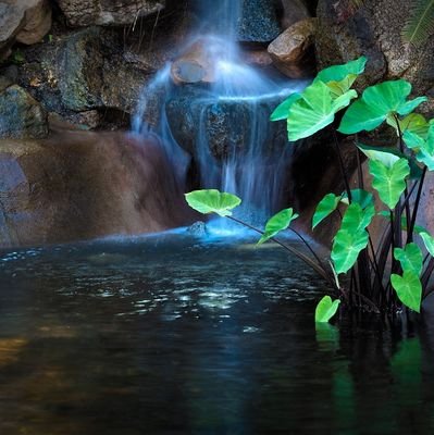 kurociferx's profile picture. 