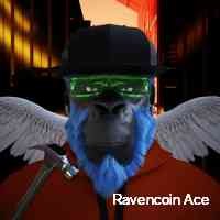 aceravencoirn's profile picture. Cute little lemons that fell from the giant lemon tree🍋