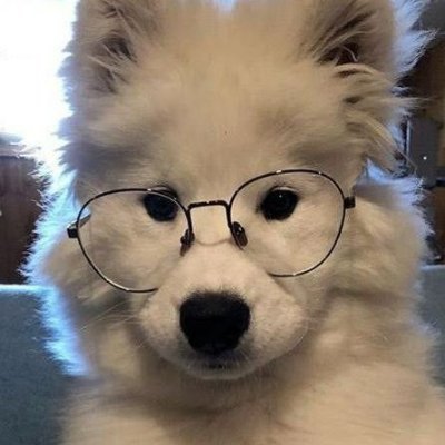 🌨️ Juneさんのプロフィール画像