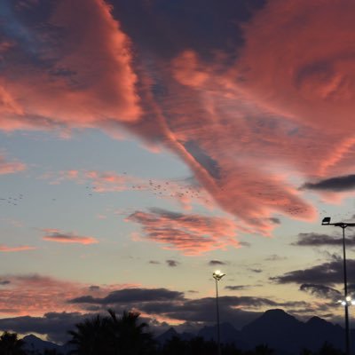 bq72q6wvcb's profile picture. Bu bir parodi hesaptır gerçek kişilerle alakası yoktur