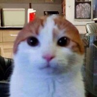 lilsanx (@lilsanx1) 's Twitter Profile Photo lilsanx (@lilsanx1) 's Twitter Profile Photo