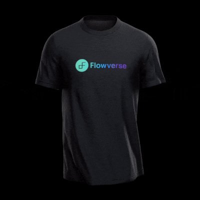Lead Developer and Technical Advisor at @flowverse_ | Building on @flow_blockchain
