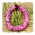 waipio (@konacity) Twitter profile photo waipio (@konacity) Twitter profile photo