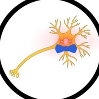 BowTiedNeuron | Neuroscientist(@BowTiedNeuron) 's Twitter Profile Photo