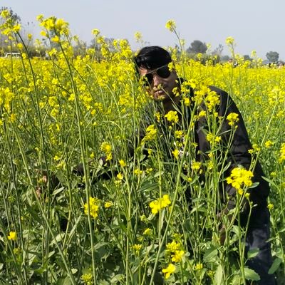 SachinS34779251's profile picture. 