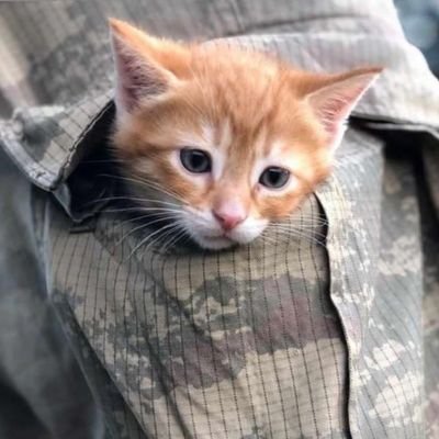 Koolanio's profile picture. i don't know, but winter
🇷🇺