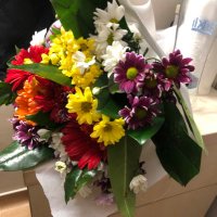 Sebebi mevcudiyetinin esbabı mucibesi (@esbab_mucibe) Twitter profile photo