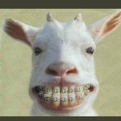 lose12654's profile picture. สุพรรณ พื้นที่ใกล้เคียง นัดกันค่ะ เป็นสาวสอง