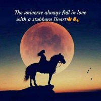 Sunita Choudhary (@sanu02291334) 's Twitter Profile Photo Sunita Choudhary (@sanu02291334) 's Twitter Profile Photo