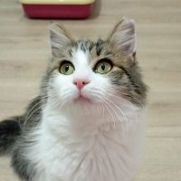 PINAR (@pnrlve) 's Twitter Profile Photo