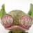 motorbot's profile image