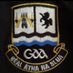 Ballinasloe GAA/LGFA (@ballinasloegaa) Twitter profile photo Ballinasloe GAA/LGFA (@ballinasloegaa) Twitter profile photo
