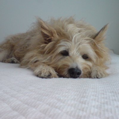 E3%83%95%E3%82%A7%E3%82%B9%E3%83%86%E3%82%A3%E3%83%90%E3%83%AB%E3