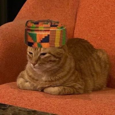 spatial justice 🇿🇲🇯🇲🇬🇧 | INFP-A ♋️