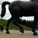 Mina Harris - @MinaCatherine - Twitter