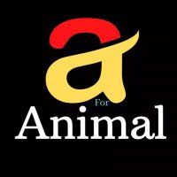 animal_footage(@animal_footage) 's Twitter Profile Photo