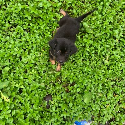 Baw120144's profile picture. 