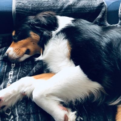 katto0314x's profile picture. 