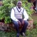aremo daniel (@aremodan) Twitter profile photo aremo daniel (@aremodan) Twitter profile photo