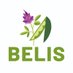 BELIS Project (@BELIS_EU) Twitter profile photo