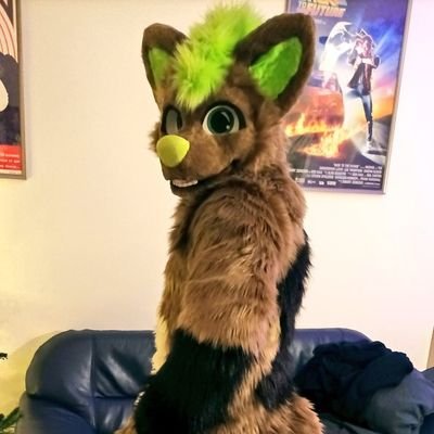furry / fursuiter 🇫🇷🇩🇪
After dark: @bibine_AD
