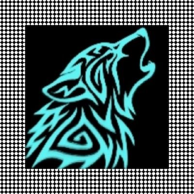 LOBOCAZADORXDXD's profile picture. Soy un creador de contenido dedicado a subir videos en temática mixta, tales como videojuegos,música etc. 
LOBO CAZADOR XD en todas las redes