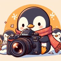 ぺんぺん(ぺんぎんカメラ) (@penguincamera_z) 's Twitter Profile Photo