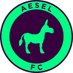 Aesel FC - Anti FPL Champion 23/24 👑 (@aeselfc) Twitter profile photo Aesel FC - Anti FPL Champion 23/24 👑 (@aeselfc) Twitter profile photo