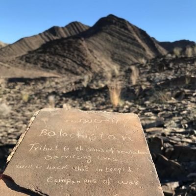 archenkohi75407's profile picture. 