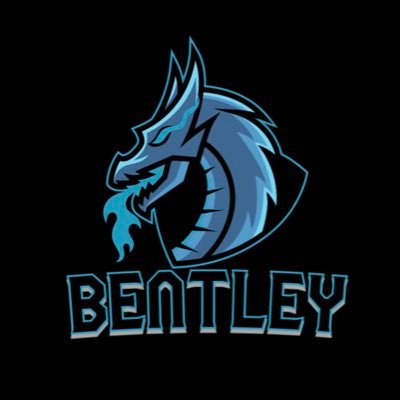 Gamer (PS5), Streamer, insta - callumbentley2000 / Twitch - callumbentley1904 / Discord - https://t.co/DmEUqts0HX