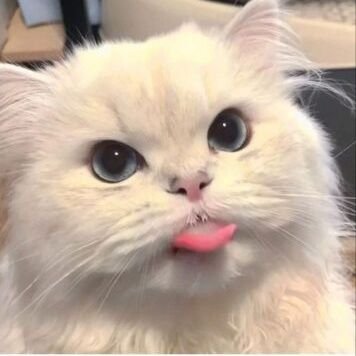 BaSulfi's profile picture. 