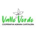 COOPERATIVA AGRARIA CAFETALERA VALLE VERDE (@ValleVerde2022) Twitter profile photo