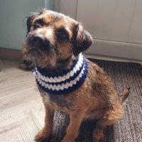 Chris 💙🇬🇧⚓🇺🇦 𓅪 (@chrisjdownes) 's Twitter Profile