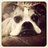 Bake411's profile image