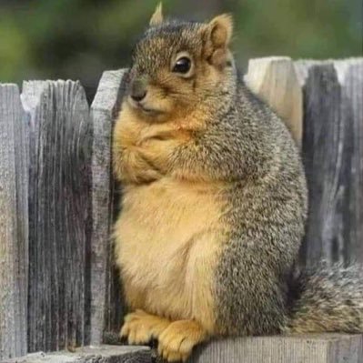 ThinkForUrself_'s profile picture. Secure your internet today! https://t.co/RqjltCsXrs