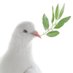 Vredesdienst voor dieren (@dierenvoor50658) Twitter profile photo
