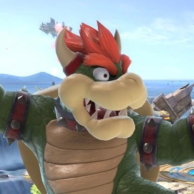 SirRolo76's profile picture. Dutch Smash Ultimate Player | He/him | Bowser/Lucario | Trying my best out here